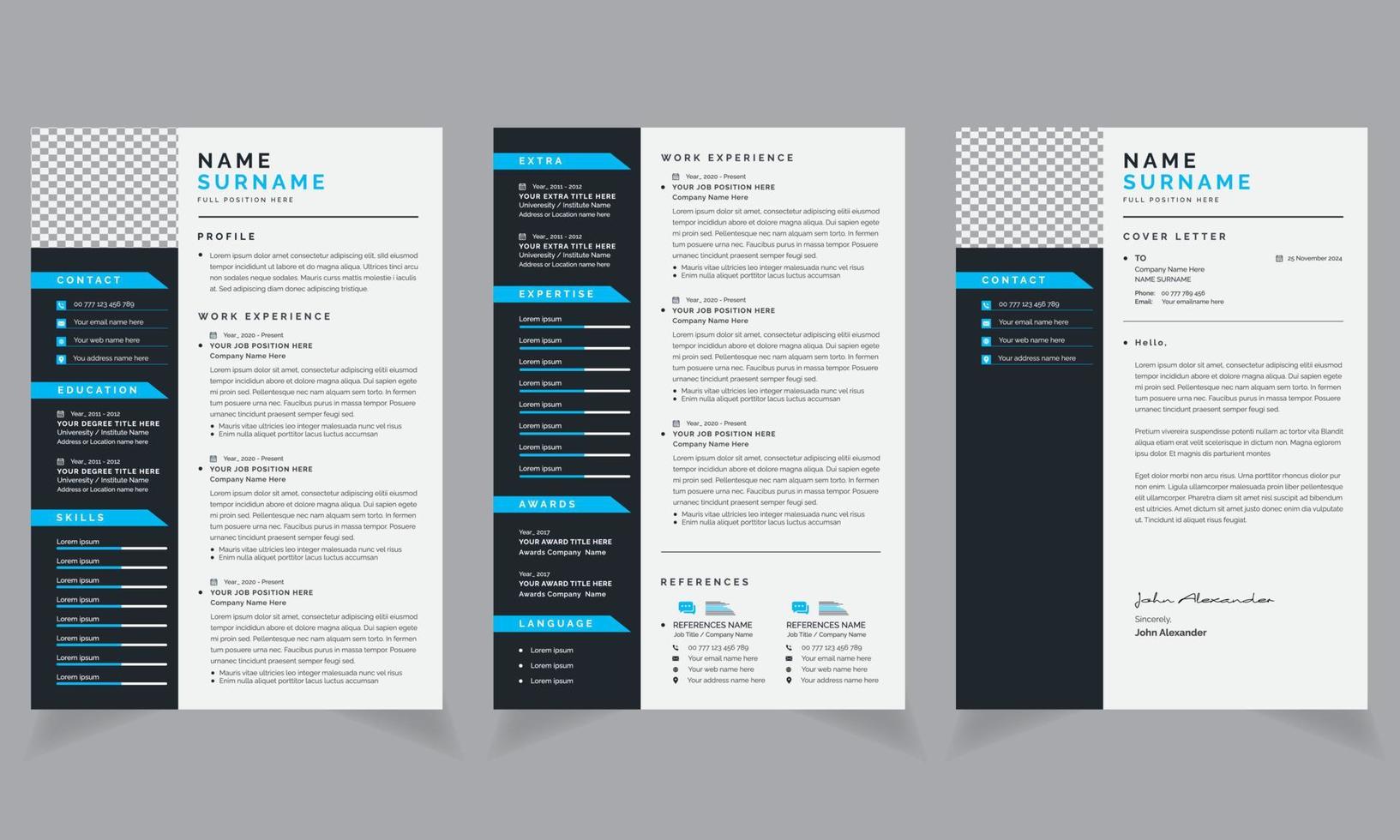 schoon en professioneel hervat kleur ontwerp sjabloon lay-out en Hoes brief lay-out reeks vector