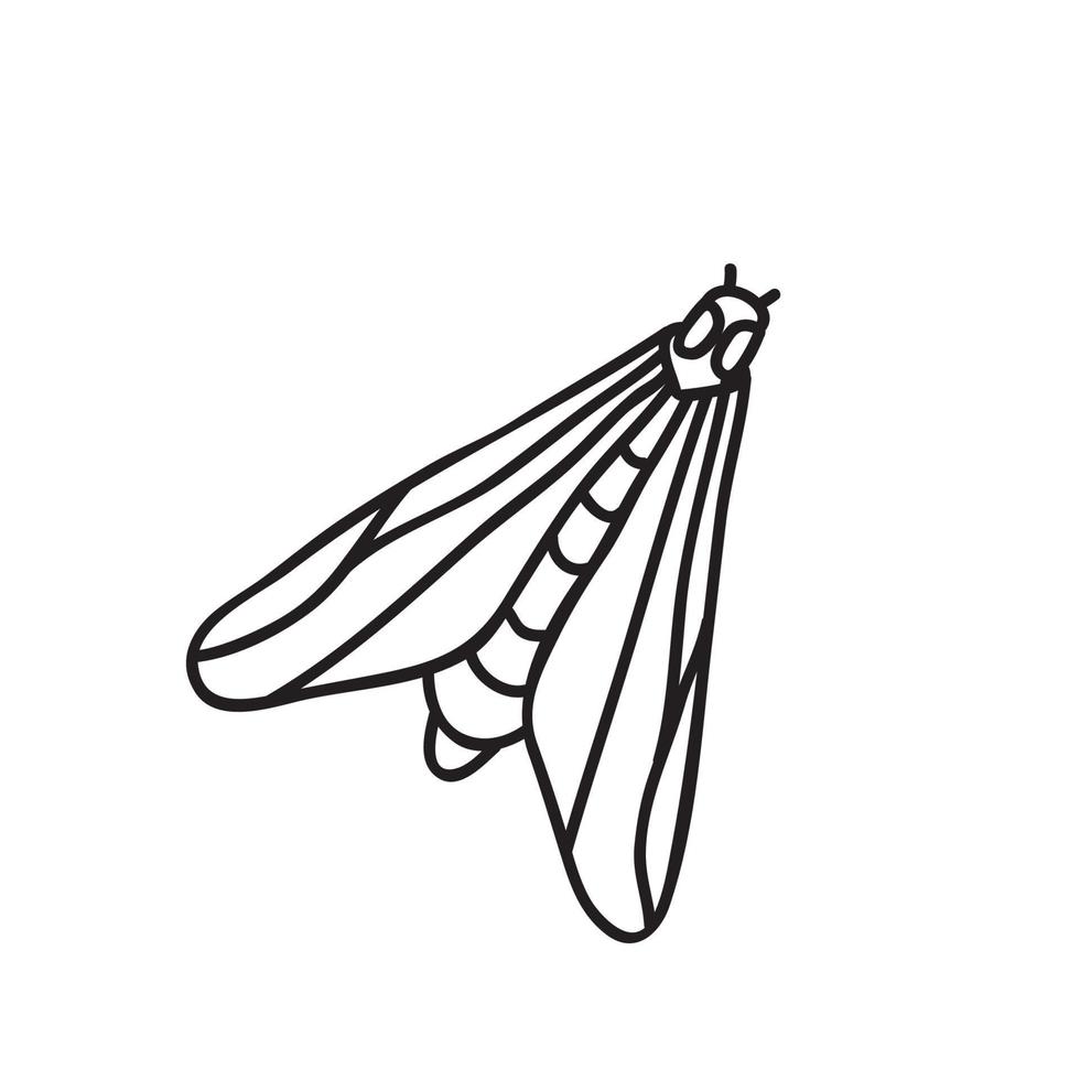 vector voorraad illustratie met single object, insecten, hand- getrokken, tekening stijl.