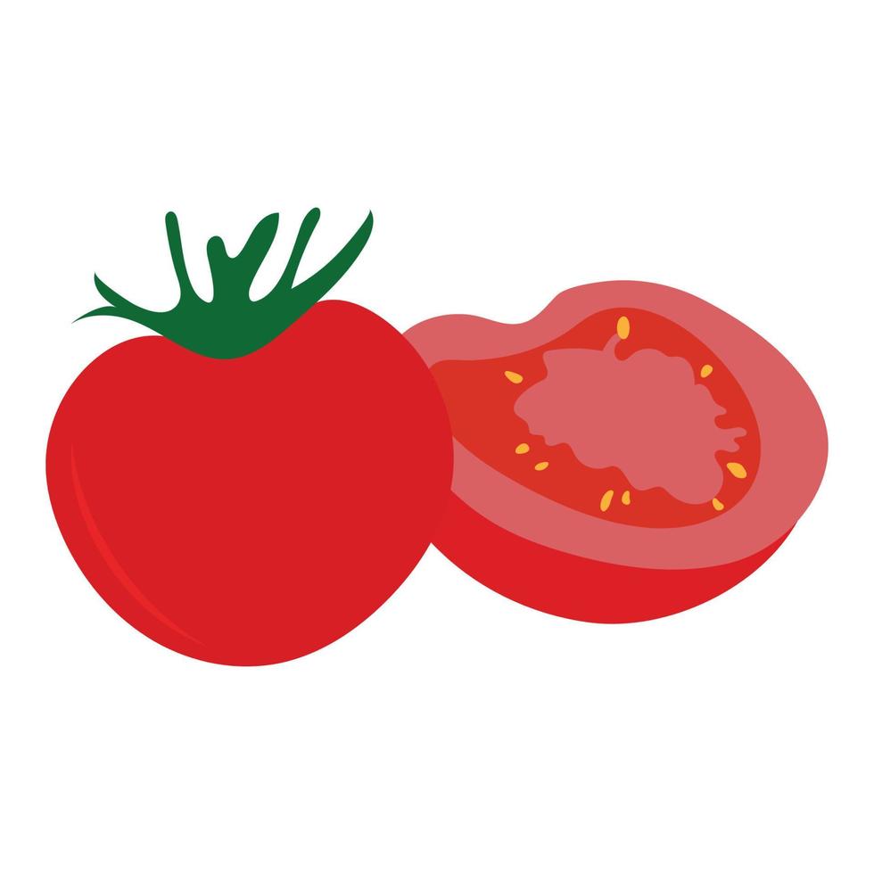 tomaat fruit icoon vector