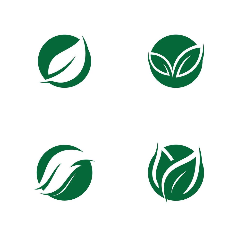 groen blad logo ecologie natuur vector pictogram