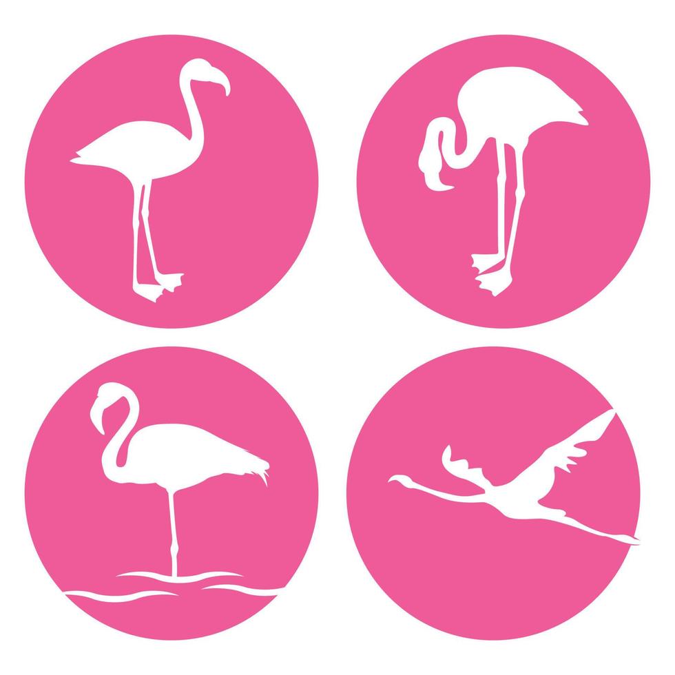 flamingo icoon vector