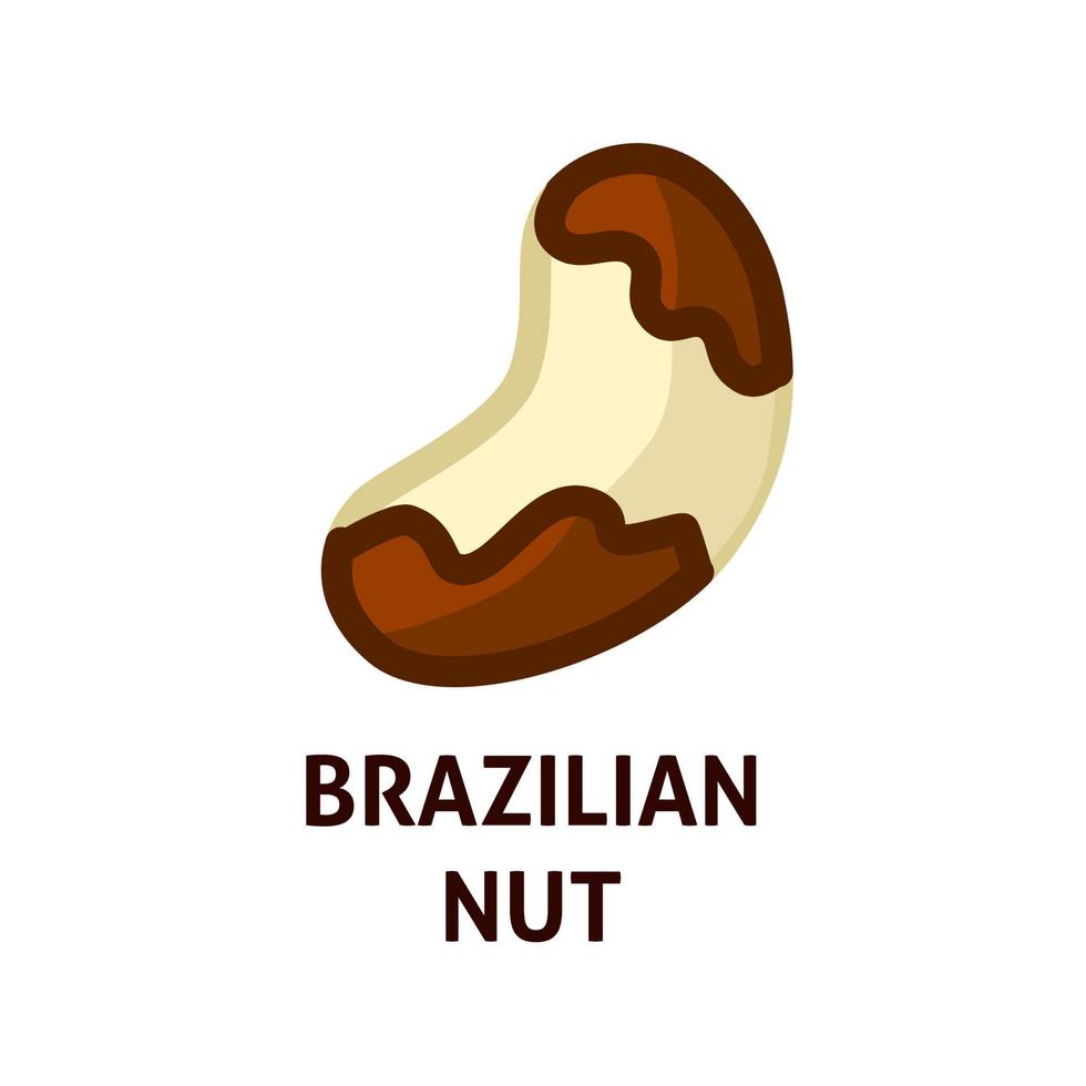 braziliaans bruin noot icoon. exotisch gezond tussendoortje. natuurlijk vers eiwit. eco logo. vector