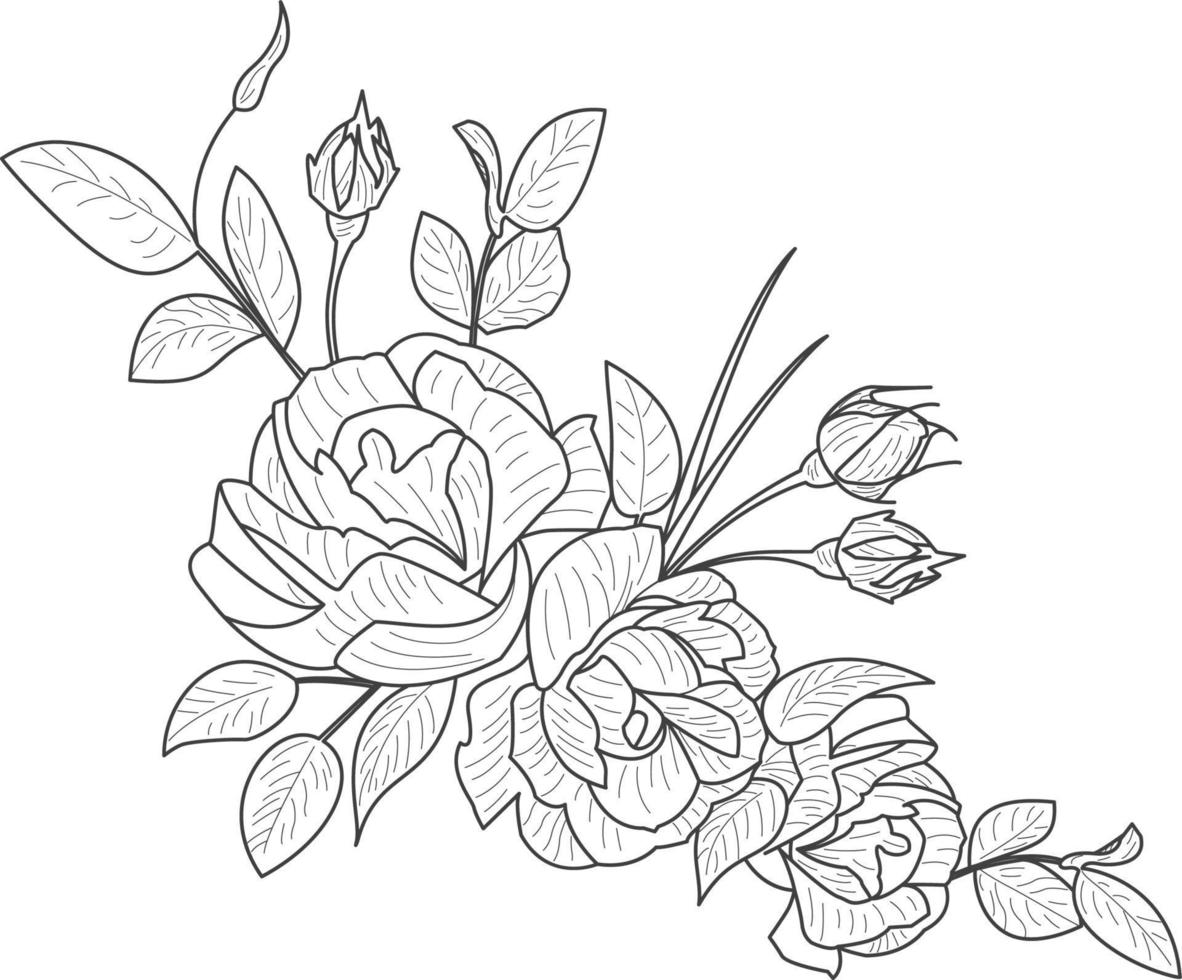Super goed verzameling van zeer gedetailleerd hand- getrokken rozen geïsoleerd Aan wit achtergrond vector