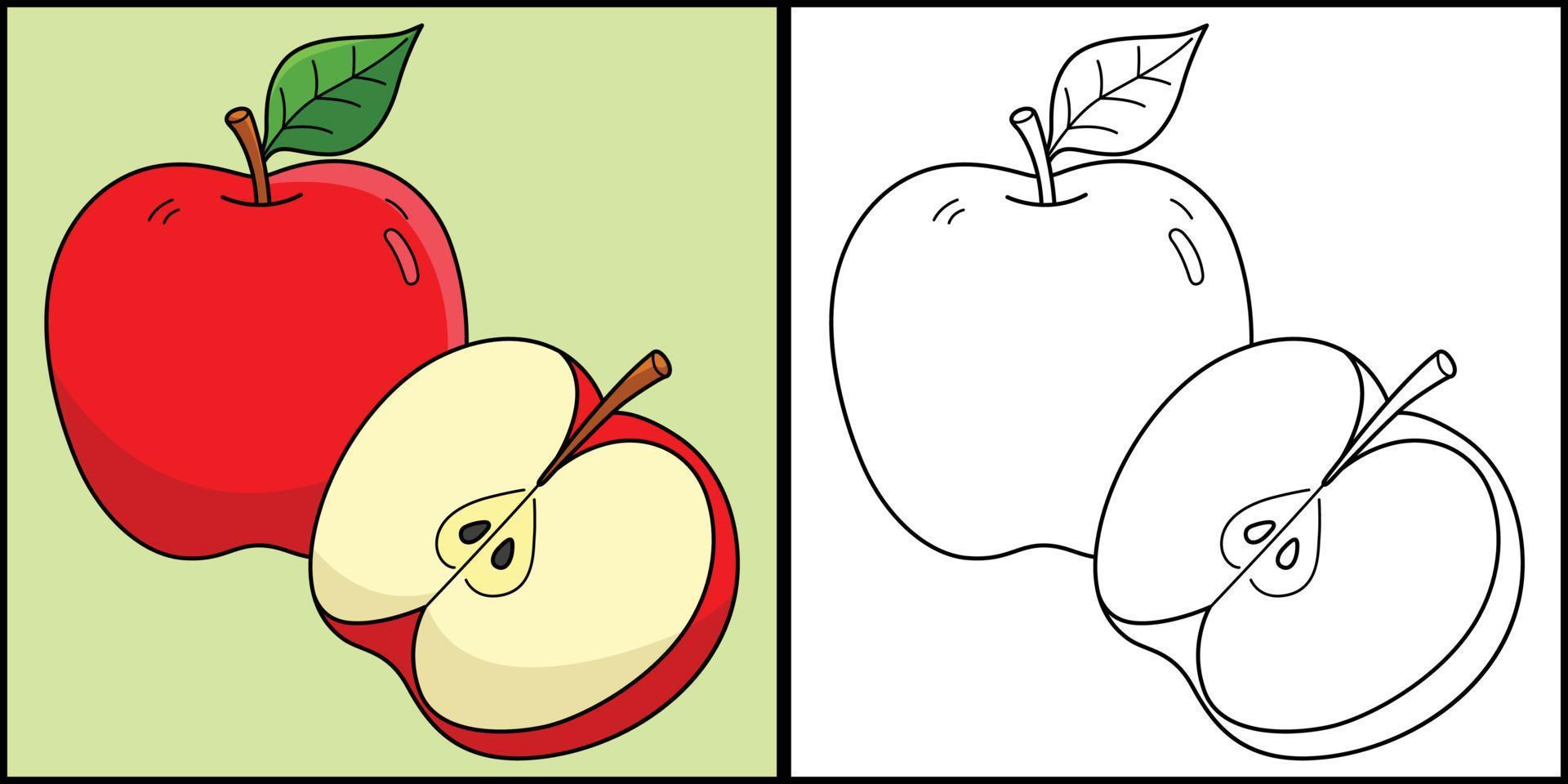 appel fruit kleur bladzijde gekleurde illustratie vector