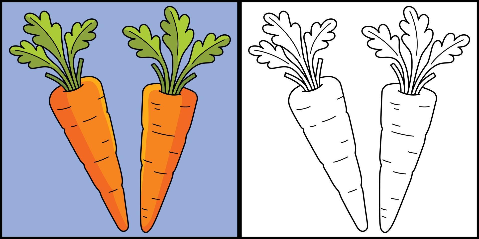 wortels groente kleur bladzijde illustratie vector