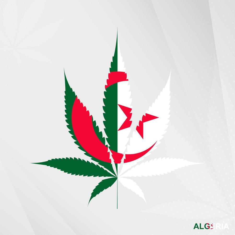 vlag van Algerije in marihuana blad vorm geven aan. de concept van legalisatie hennep in Algerije. vector