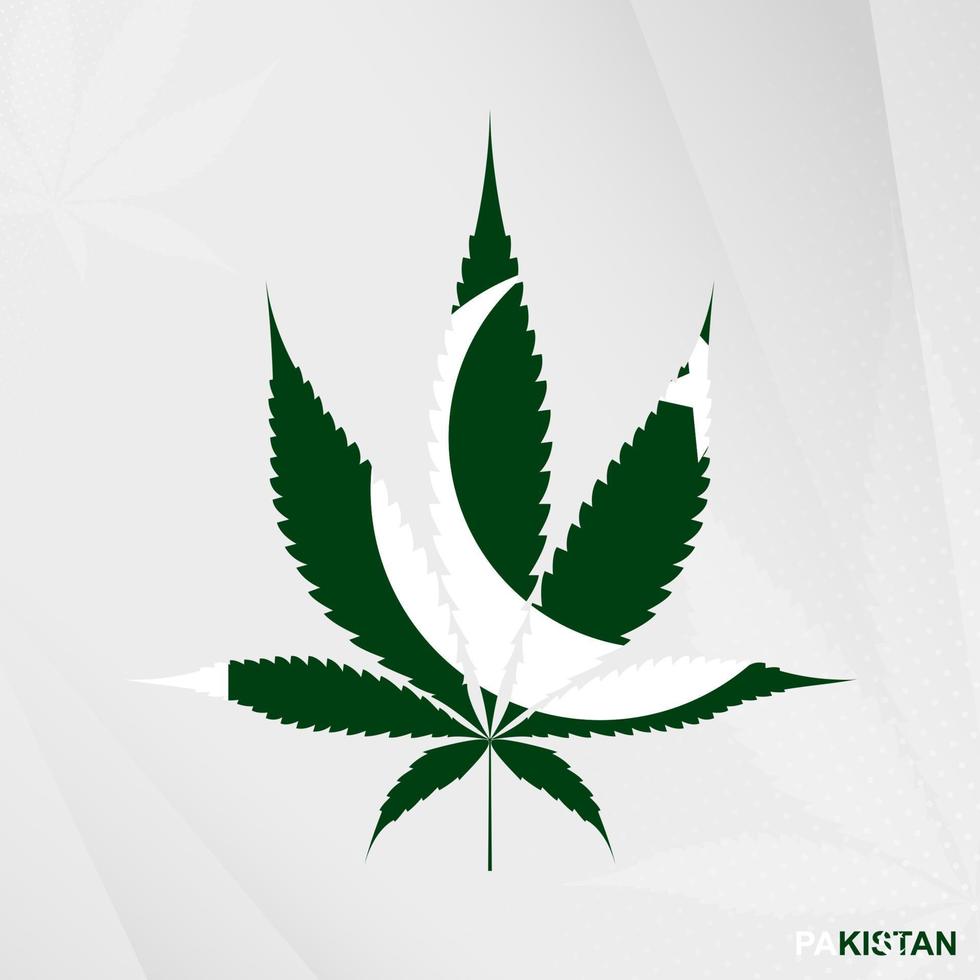 vlag van Pakistan in marihuana blad vorm geven aan. de concept van legalisatie hennep in Pakistan. vector