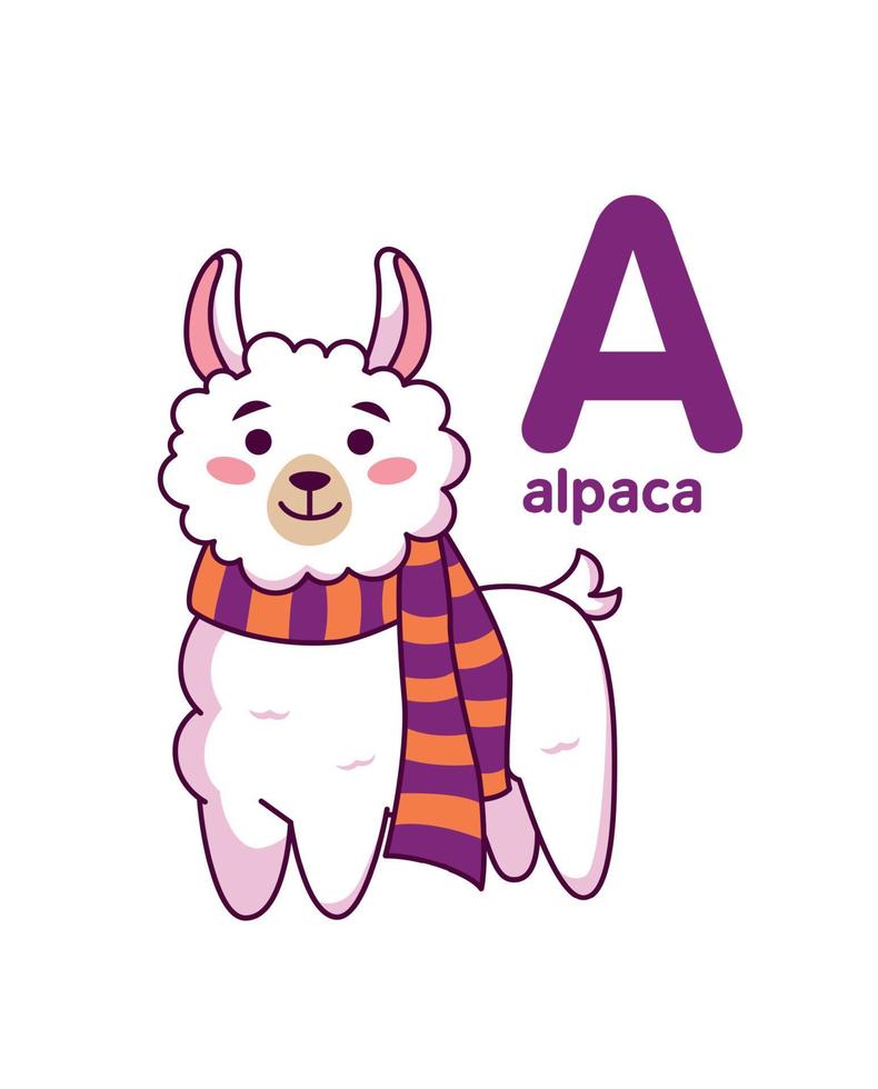schattig alpaca in een sjaal. schattig dier. vector illustratie alfabet
