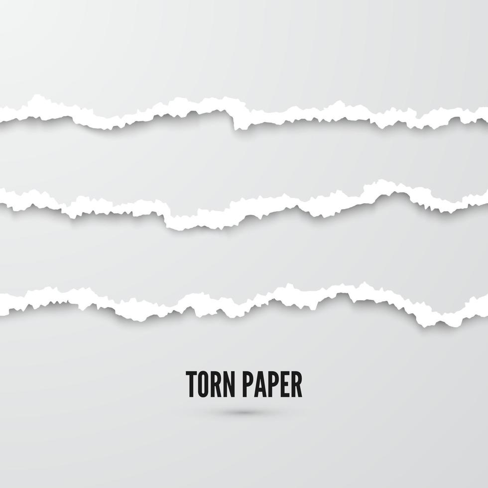 reeks van horizontaal naadloos gescheurd papier strepen met schaduw. papier structuur met beschadigd kant. vector illustratie