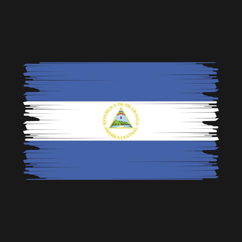 nicaragua vlag illustratie vector