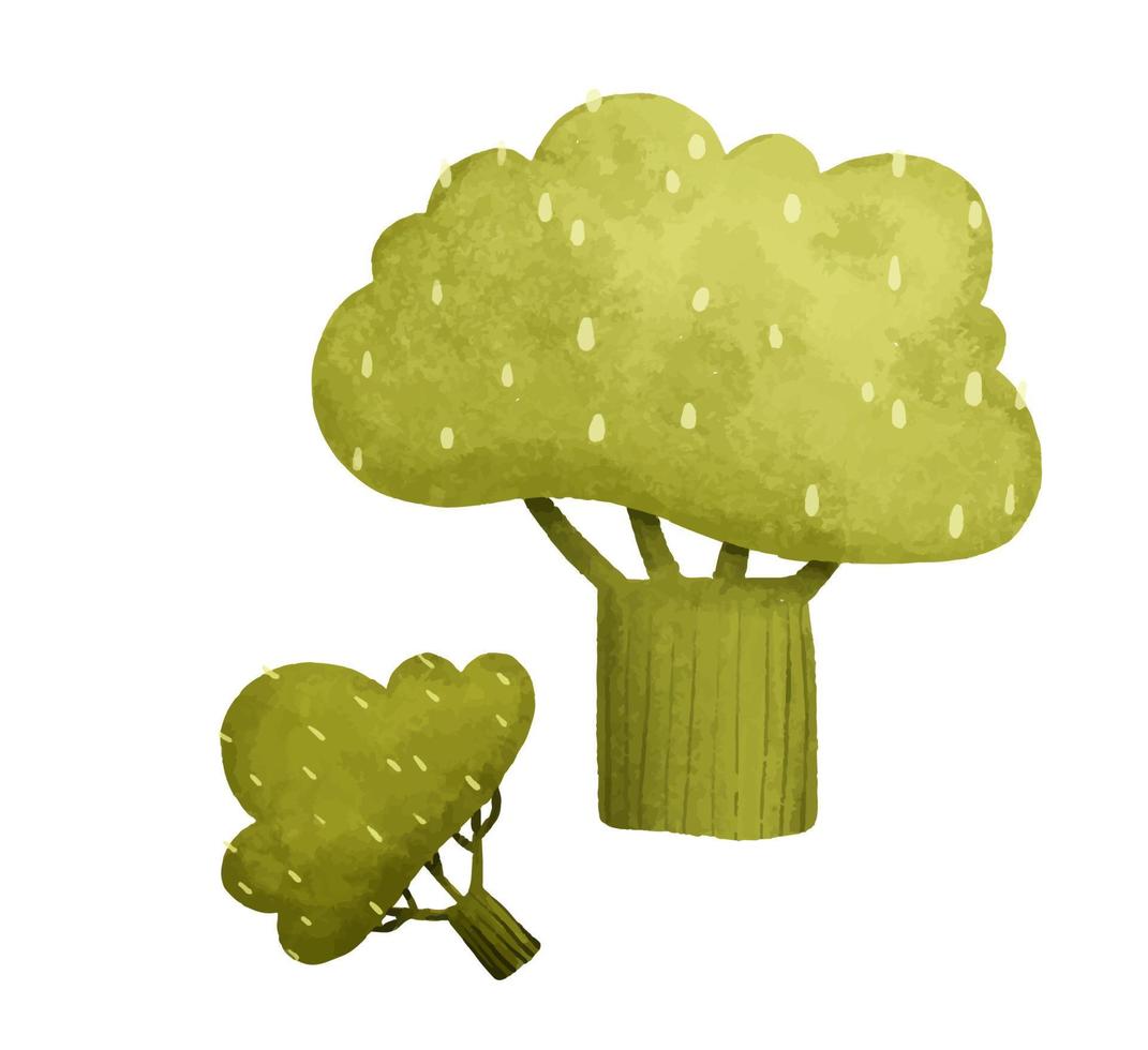 broccoli. schattig broccoli voor kinderen. schattig tekenfilm stijl gelukkig en groen broccoli. hand- geschilderd broccoli voedsel illustratie vector