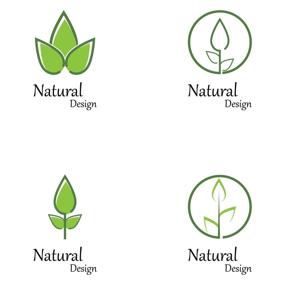 groene natuur blad logo sjabloon vector