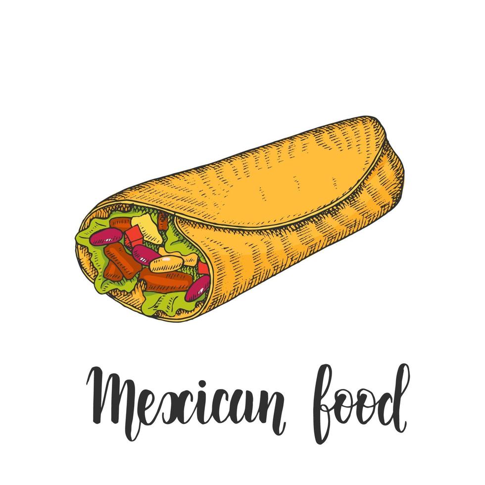 Mexicaans eten. hand getekend gekleurde burrito in schetsstijl geïsoleerd op wit. handgemaakte letters. vectorillustratie voor menuontwerpen. vector
