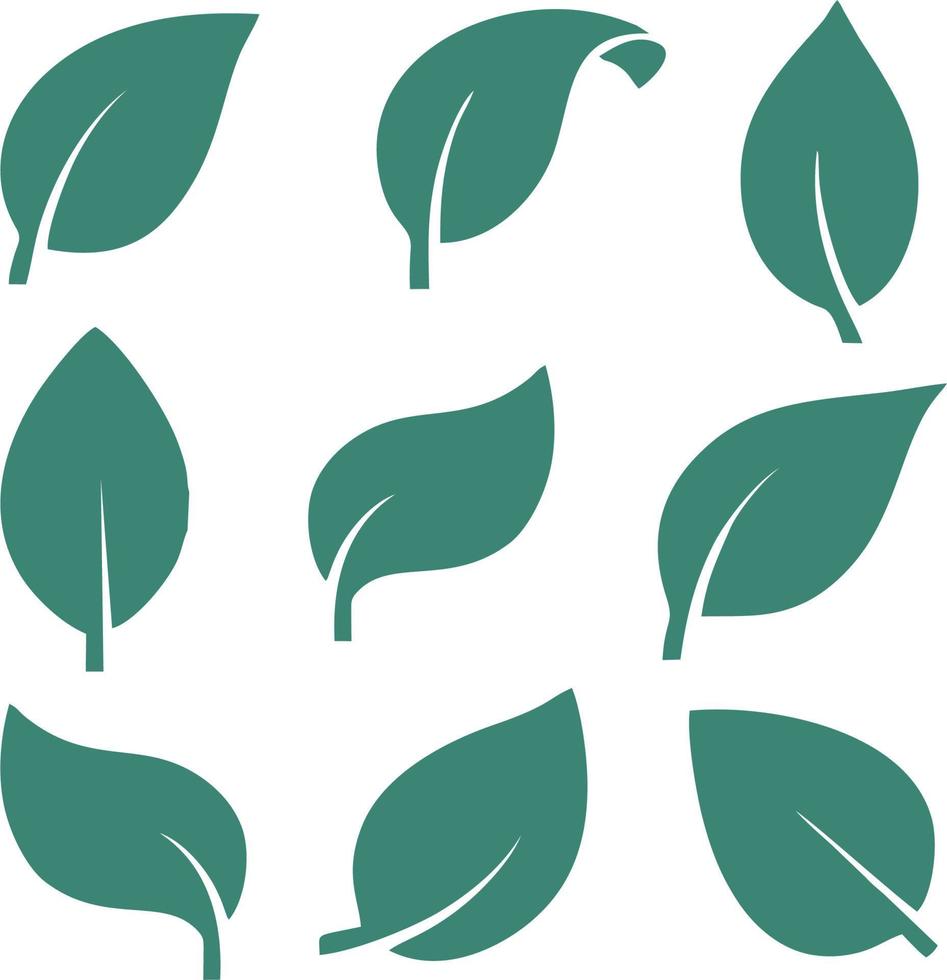 groen blad vector Aan een wit achtergrond. blad patroon.