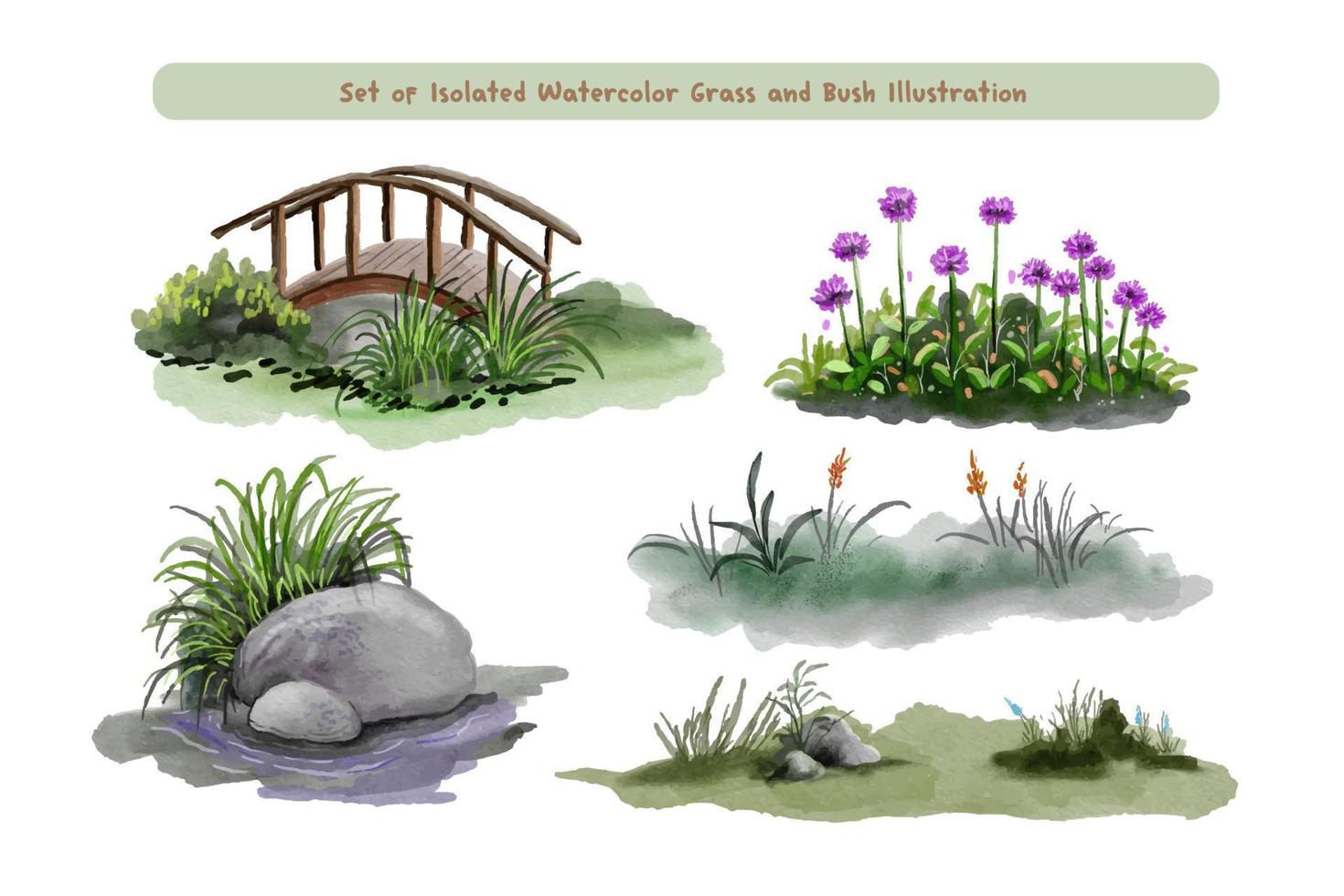 een reeks van waterverf gras en steen illustratie vector