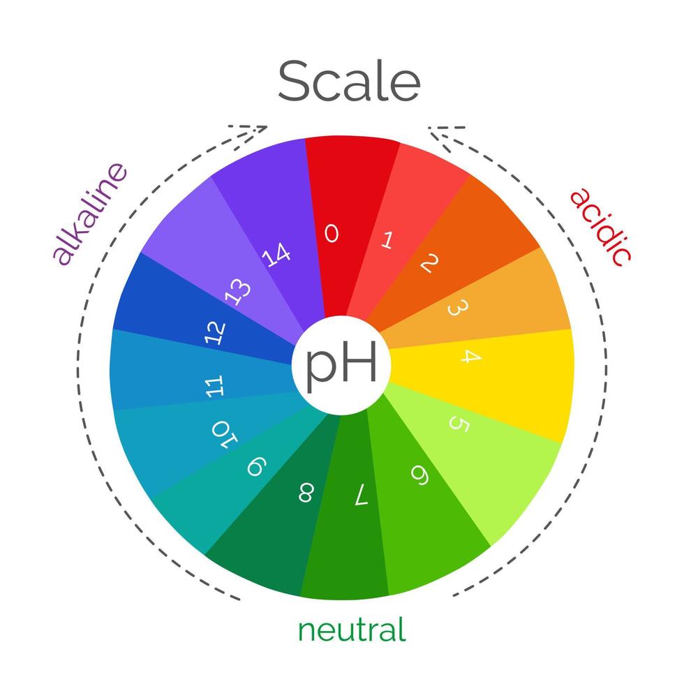 ronde ph schaal voor meten zuur alkalisch evenwicht. chemisch waarde testen. infographics met indicator grafiek. vector illustratie