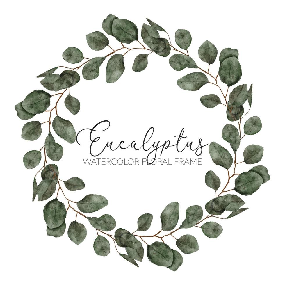 aquarel eucalyptus blad krans cirkelframe vector