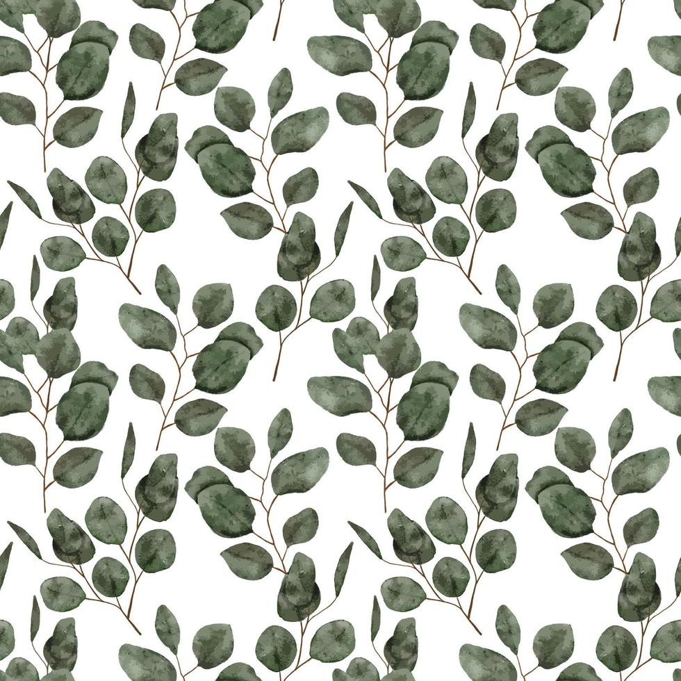 aquarel eucalyptus blad naadloze patroon vector