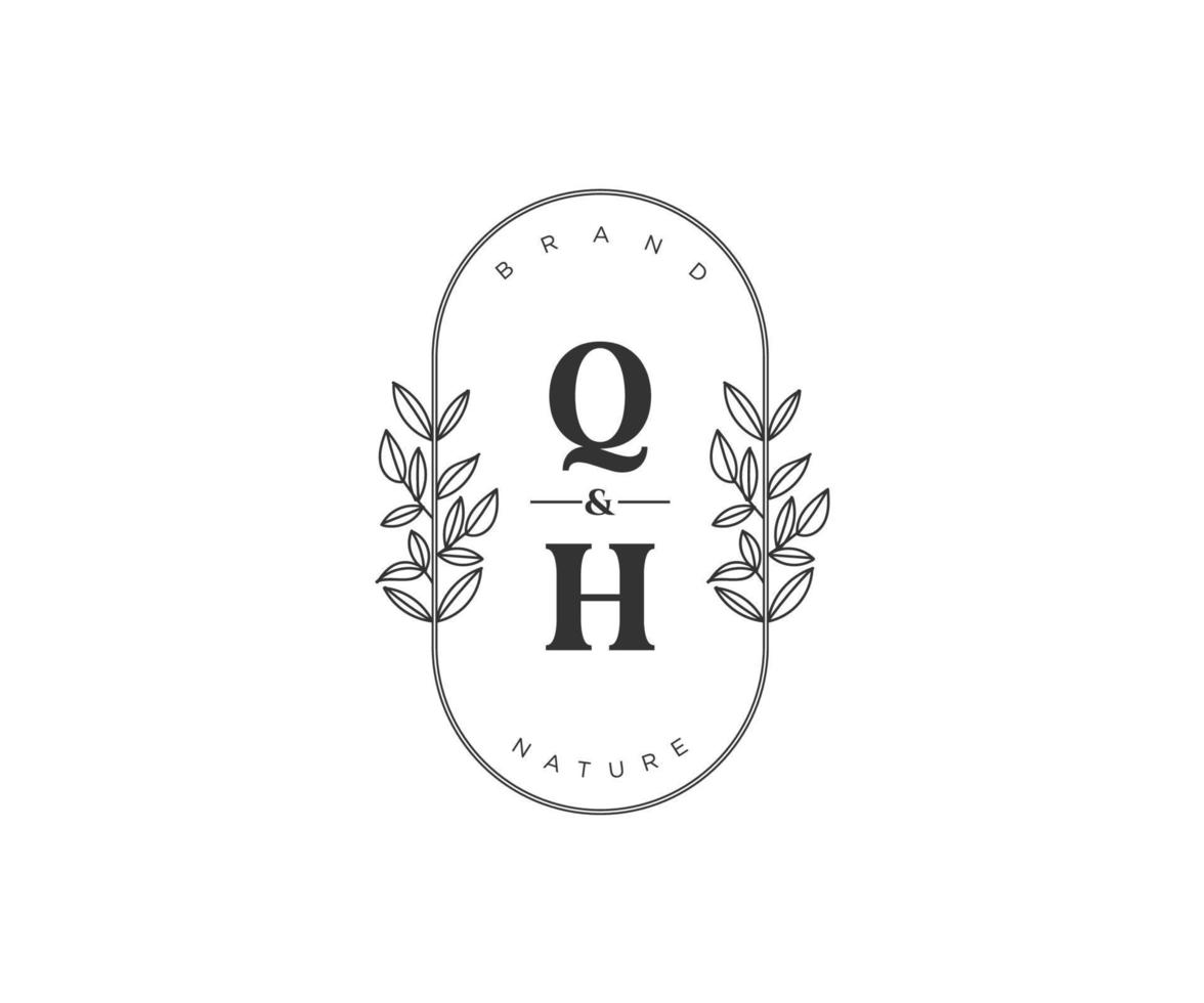 eerste qh brieven mooi bloemen vrouwelijk bewerkbare premade monoline logo geschikt voor spa salon huid haar- schoonheid winkel en kunstmatig bedrijf. vector