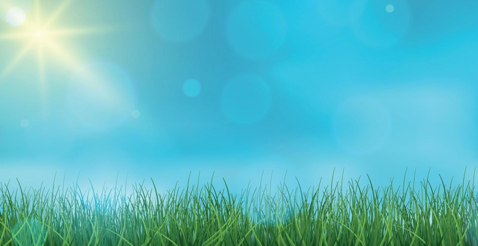 landschap groen gras op een achtergrond van blauwe hemel bokeh - vector