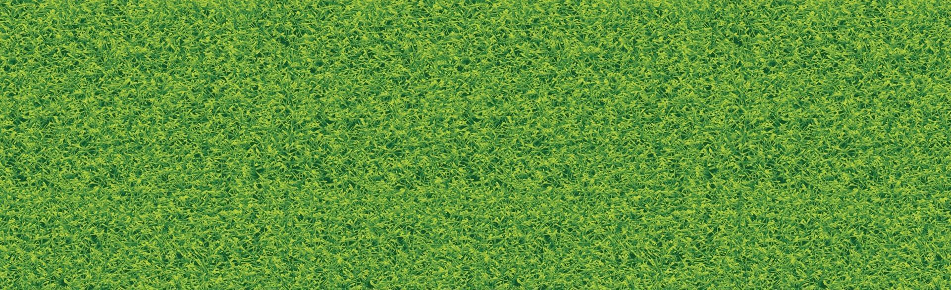 realistisch klassiek voetbalveld met tweekleurige groene coating vector