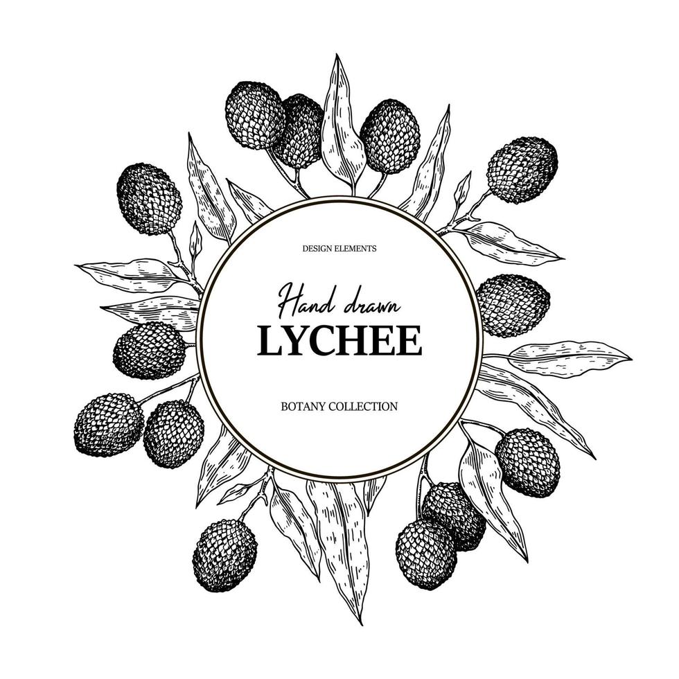 handgetekend lychee-ontwerp voor verpakking, banners, reclame, nieuwsbrieven. vectorillustratie in schetsstijl vector