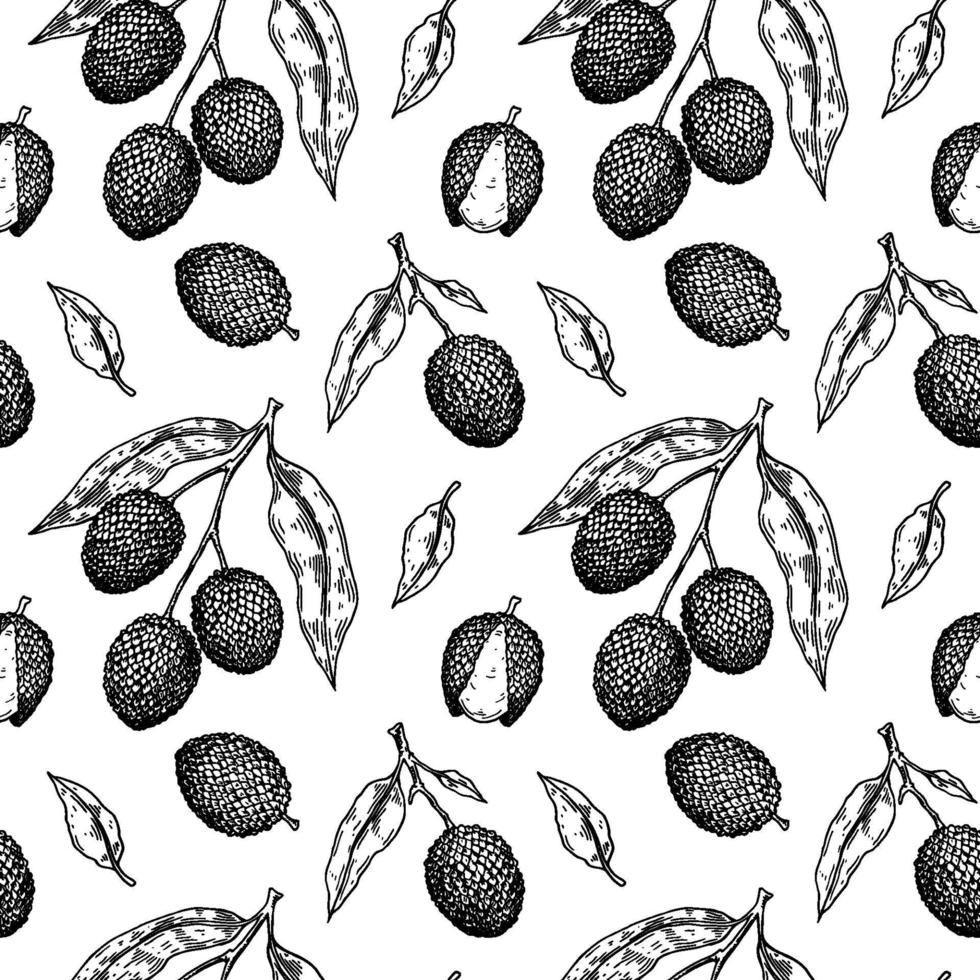 hand getrokken naadloze patroon met lychee fruit, takken en bladeren. vectorillustratie in botanische schetsstijl vector