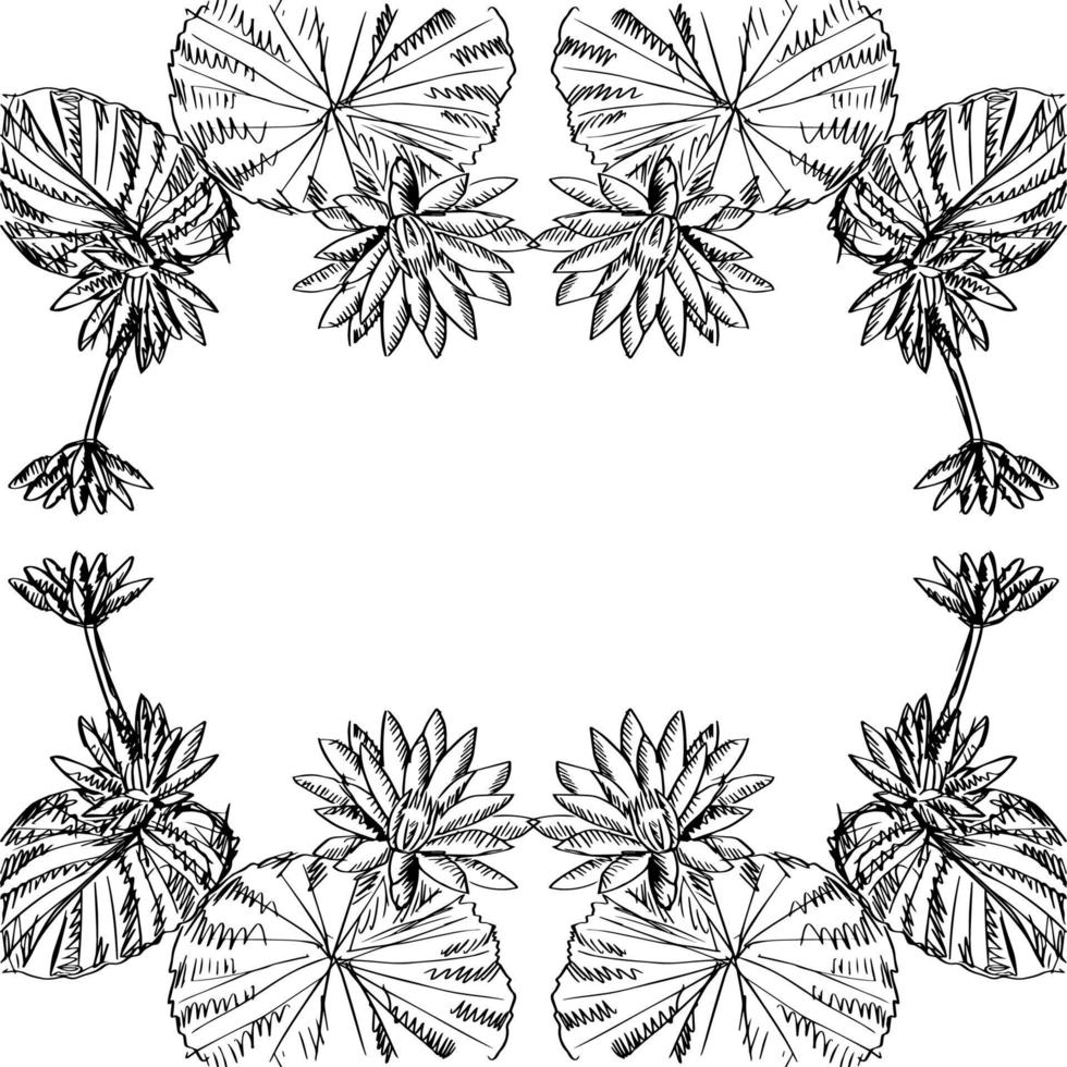 schetsen van lotus bloem kader. vector