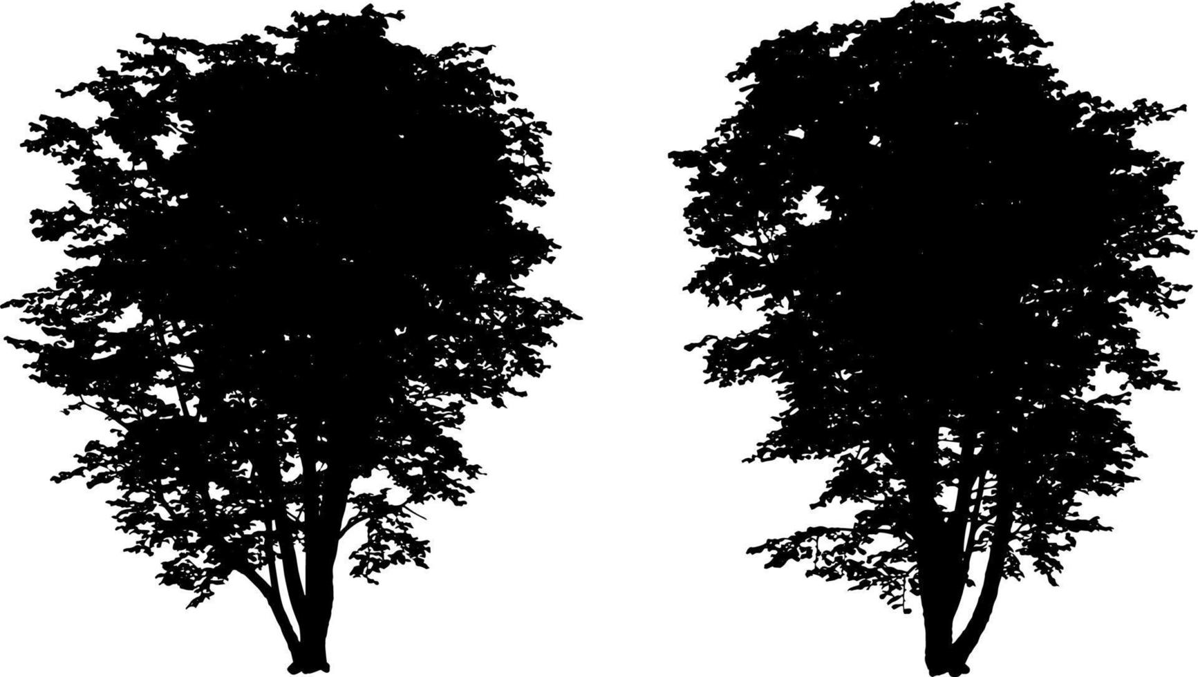 reeks van boom silhouetten zwart kleur geïsoleerd Aan wit achtergrond vector