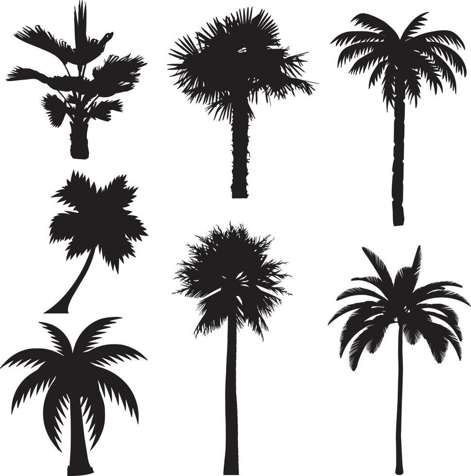 palm bomen silhouetten . tropisch palm bomen, zwart silhouetten vector