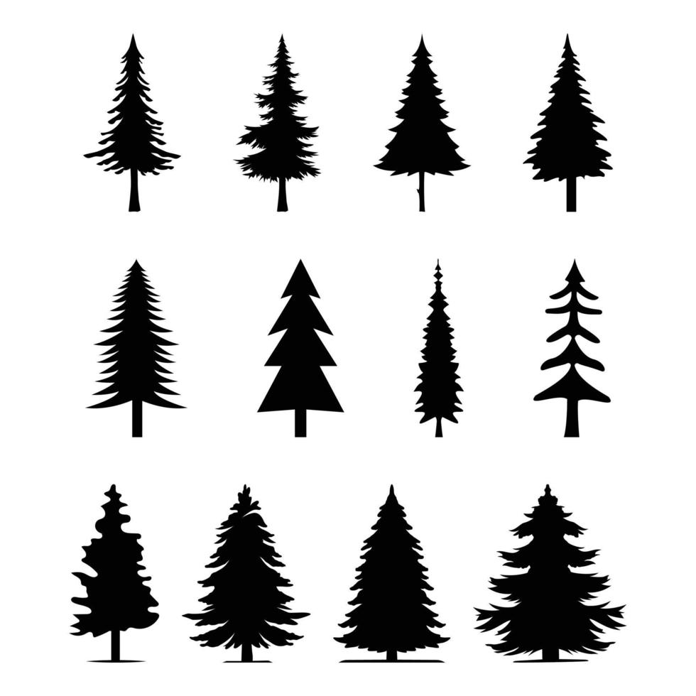 12 professioneel pijnboom bomen silhouet reeks 3 vector