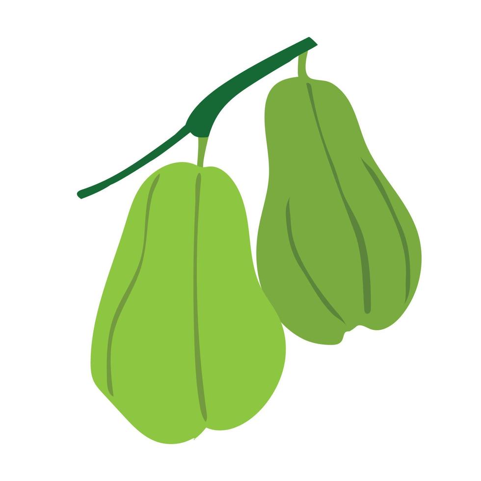 chayote fruit icoon vector