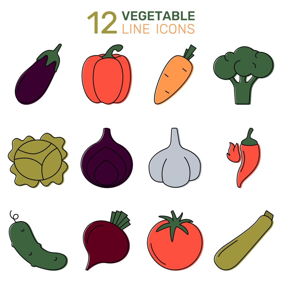 een reeks van kleurrijk vector pictogrammen van groenten - tomaat, komkommer, peper, ui, knoflook, broccoli, kool, courgette, aubergine, heet peper, wortel, rode biet.