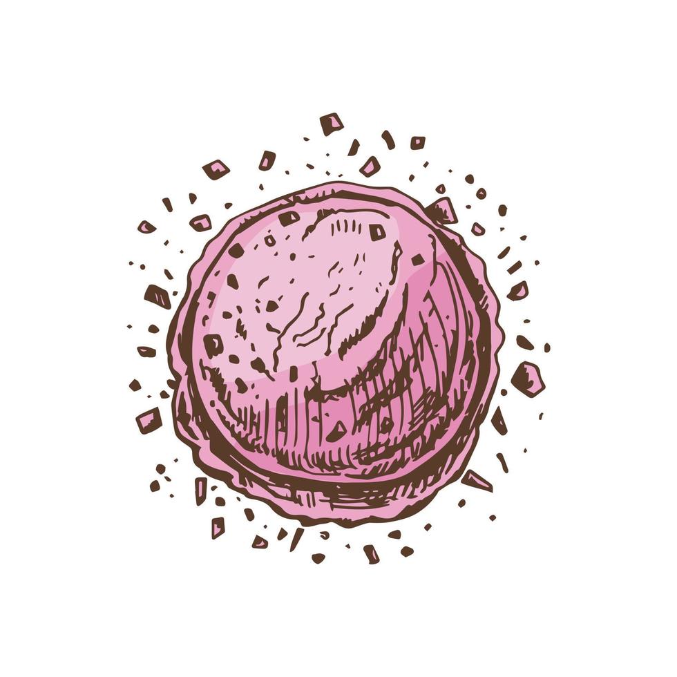 een hand getekend gekleurde schetsen van ijs room lepel met vlokken van donker chocola. wijnoogst illustratie. element voor de ontwerp van etiketten, verpakking en ansichtkaarten. vector
