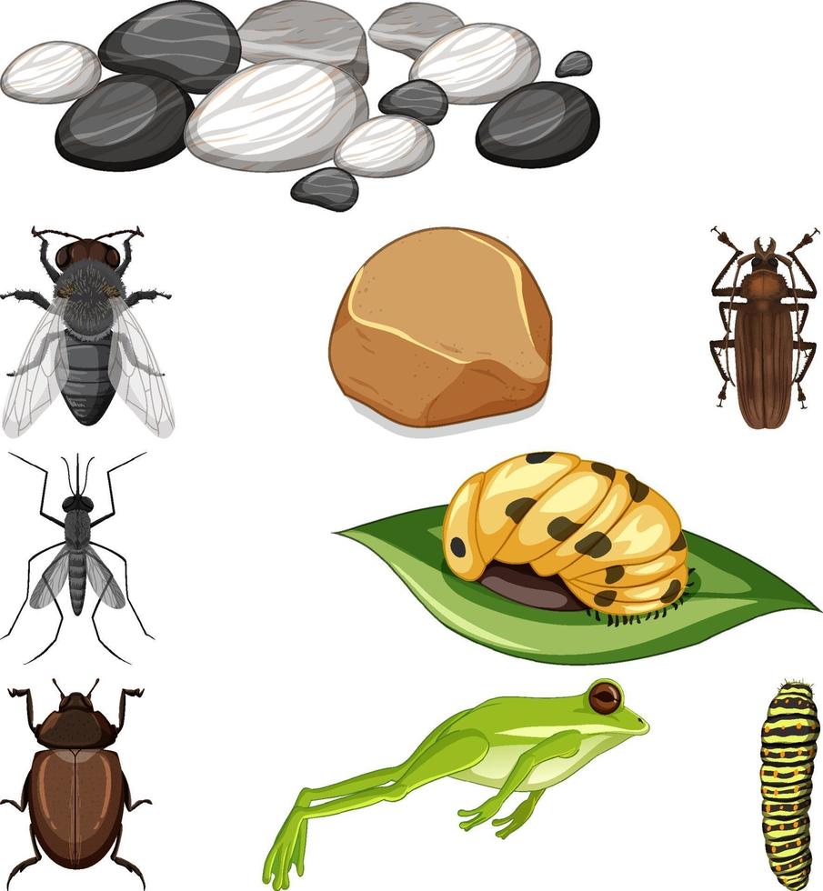 verschillende soorten insecten met natuurelementen vector
