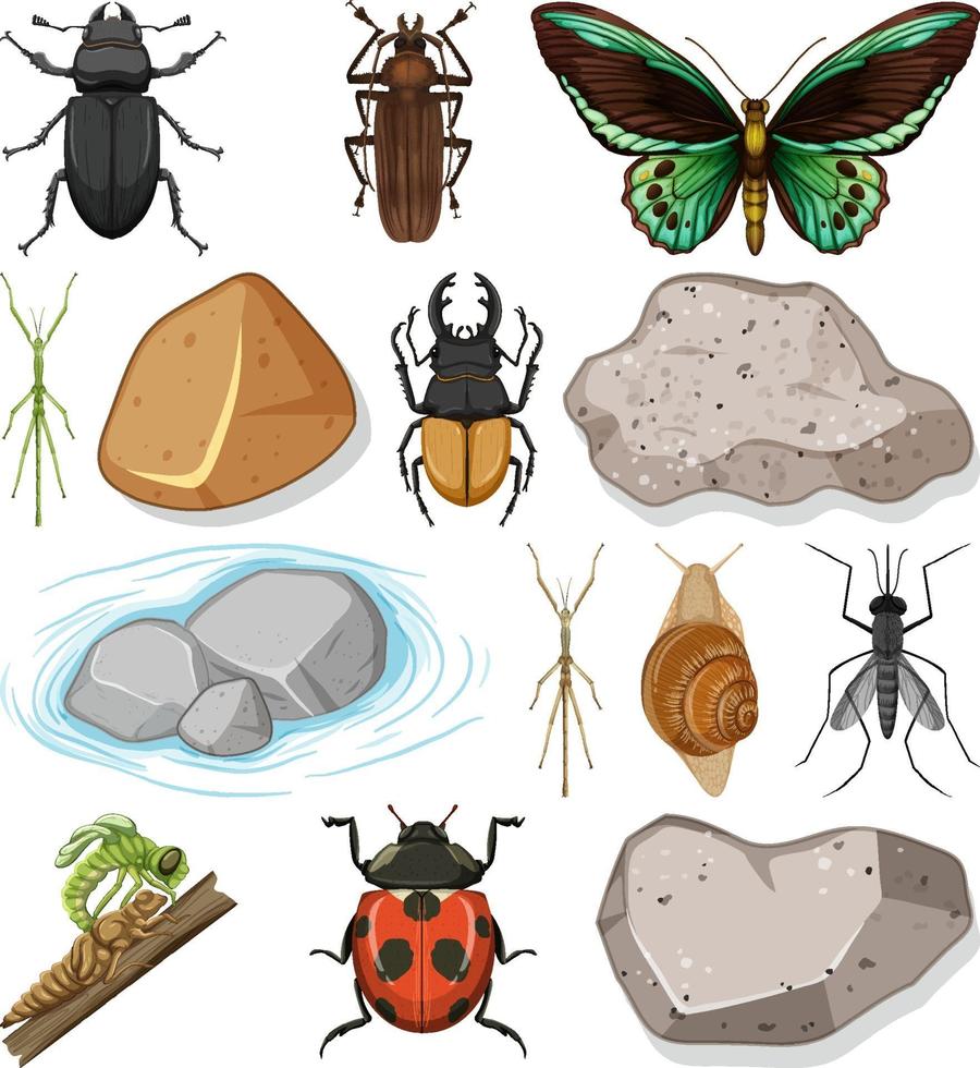 verschillende soorten insecten met natuurelementen vector