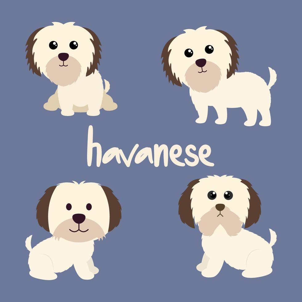 schattige havanese hondenset vector