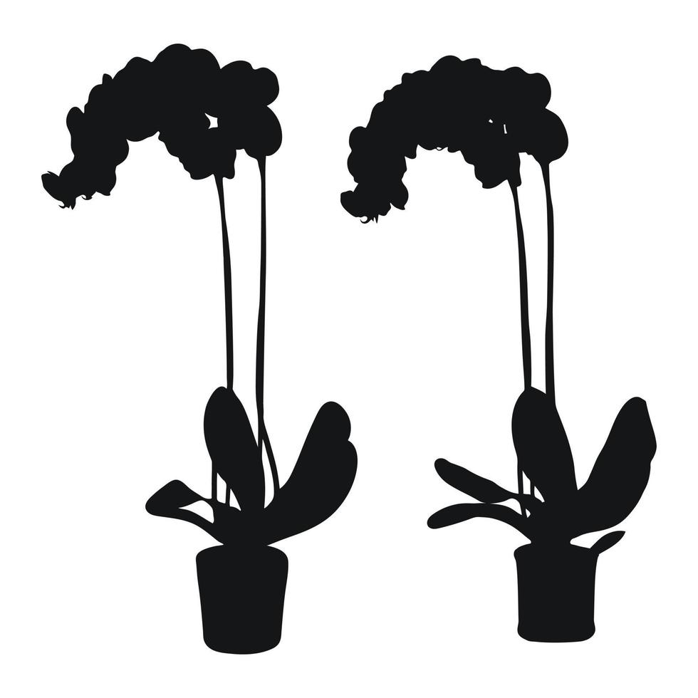 vector reeks van realistisch bloemen orchideeën, phalaenopsis. realisme modern silhouetten planten, kruiden. vlak ontwerp sjabloon.