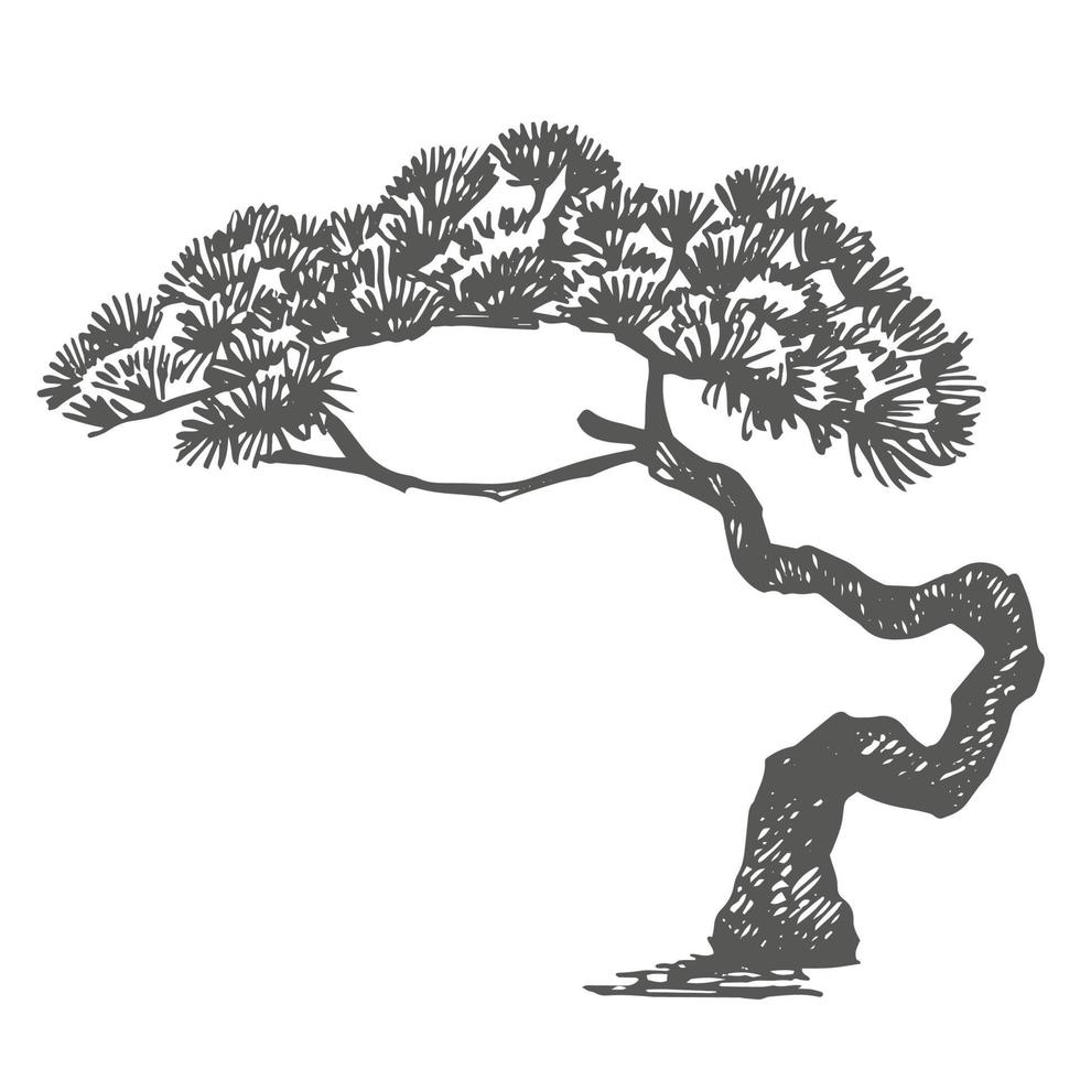 Afdeling en thee bomen. groen thee. vector hand- getrokken illustratie.