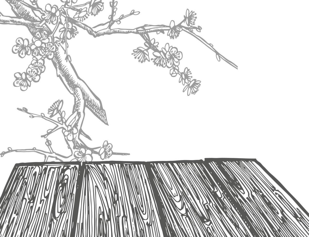 sakura Afdeling. bloem grafisch vector illustratie. hand- getrokken Afdeling van sakura met bloeit.