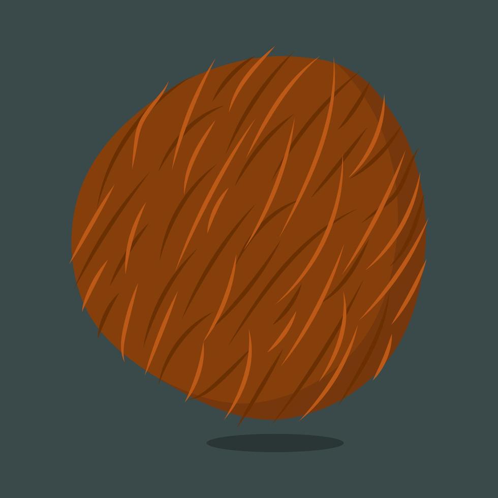 kokosnoot geïsoleerd Aan achtergrond vector illustratie.