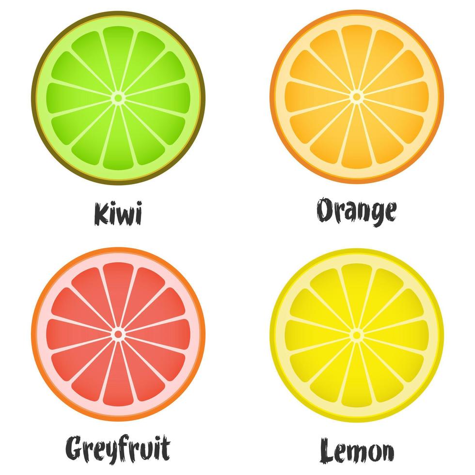 vers citrus fruit plakjes set. vector