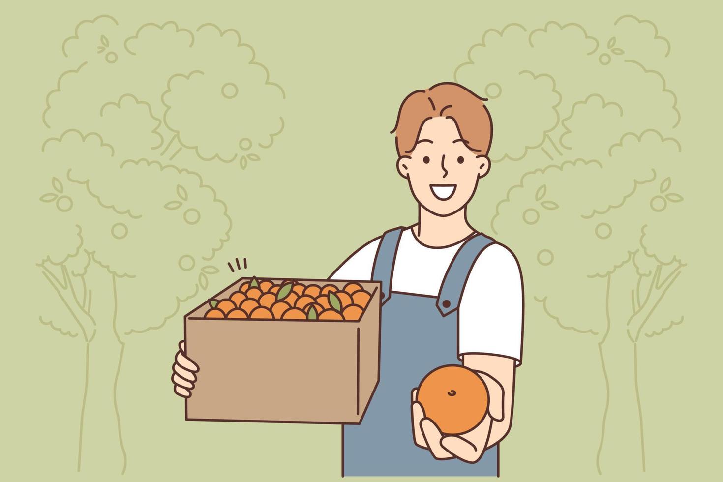 glimlachen mannetje boer met doos van sinaasappels verzameld in tuin. gelukkig Mens tuinman aanbod vers fruit. landbouw en tuinieren. vector illustratie.