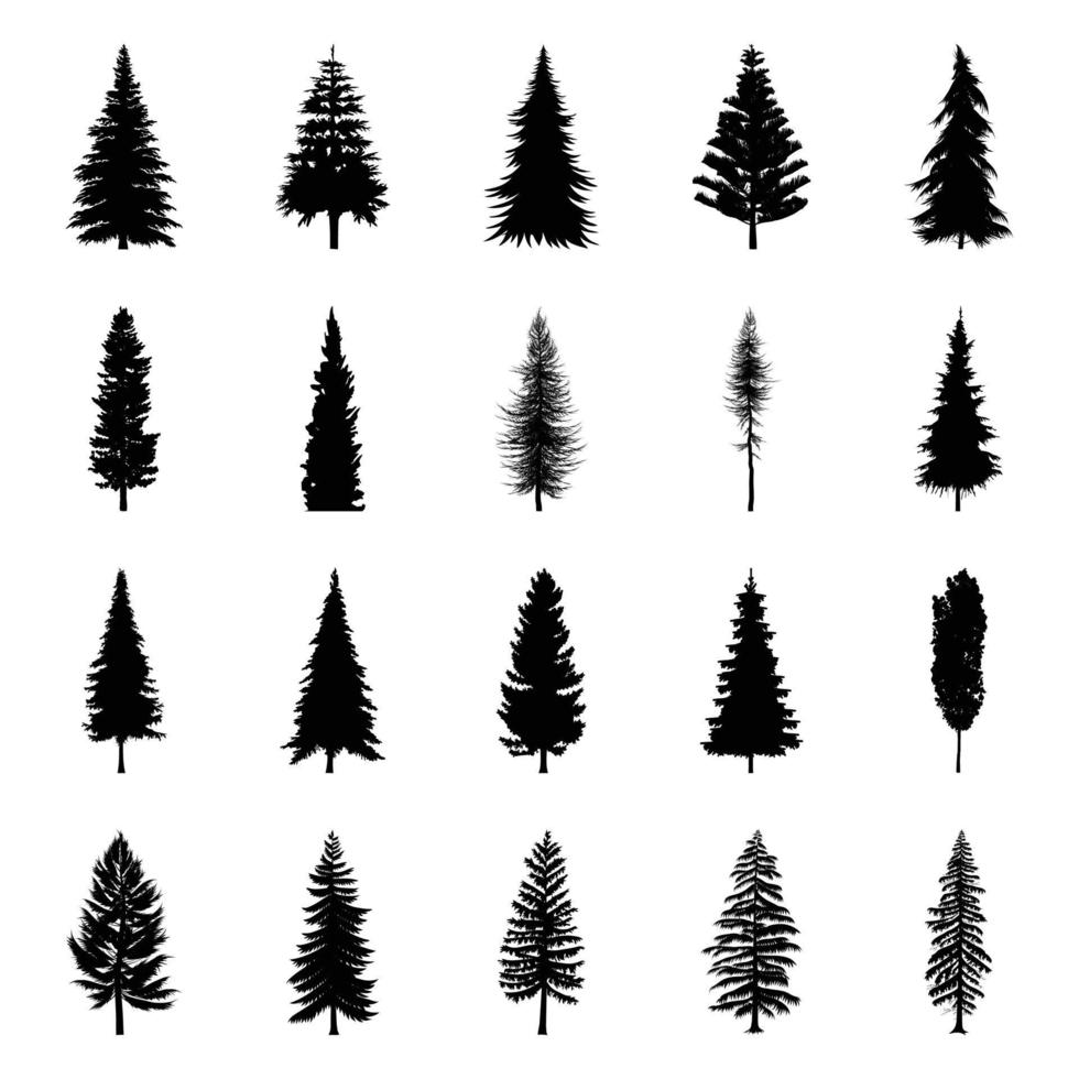 20 hoog gedetailleerd pijnboom bomen silhouet vrij vector