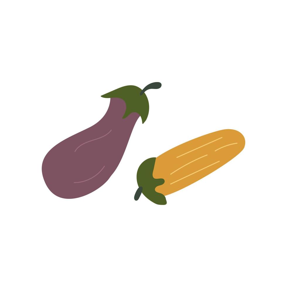 aubergine en courgette. Purper en geel groenten. kleurrijk vector. oogst vector