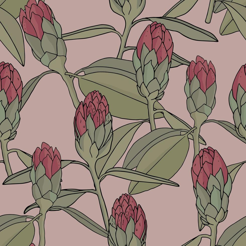 patroon met rododendron bloemknoppen Aan blauw achtergrond. roze bloem protea. vector