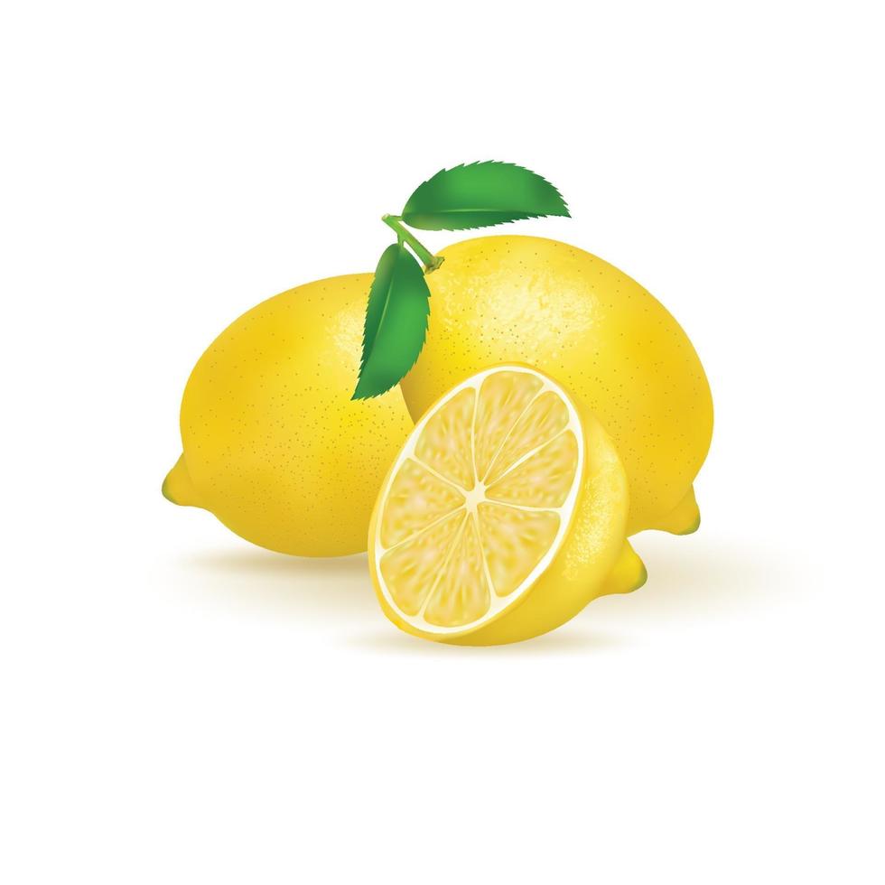 vers citroenfruit dat op witte achtergrond wordt geïsoleerd. illustratie realistische vector