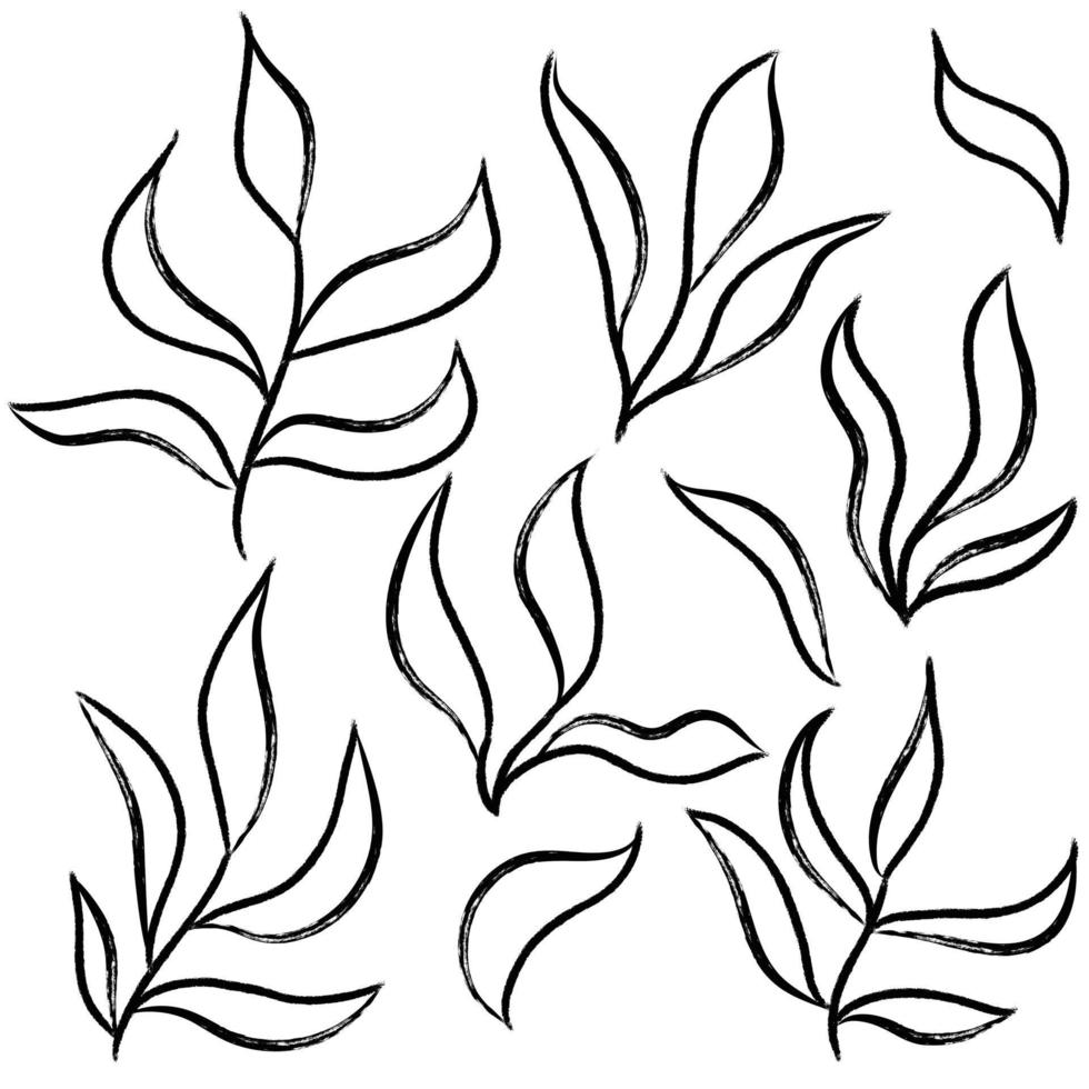 hand- getrokken gemakkelijk schets bladeren en takken geïsoleerd Aan wit achtergrond vector