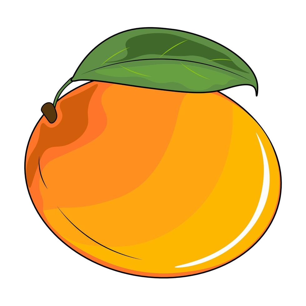 vector illustratie van een mango fruit