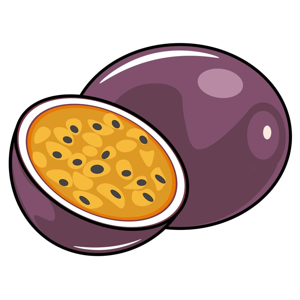 vector illustratie van passie fruit